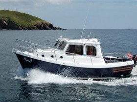 Купить 2010 Trusty Boats T23