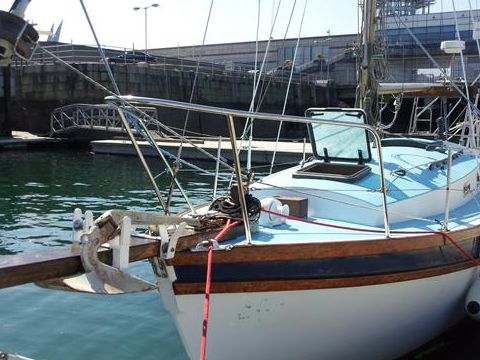 Golden Hind 31