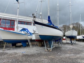 1977 Dolphin 31 till salu