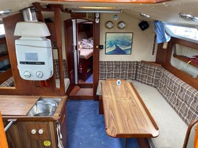 1977 Dolphin 31