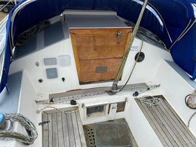 1977 Dolphin 31