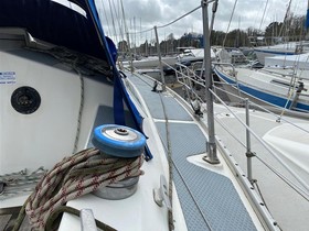 1977 Dolphin 31 till salu