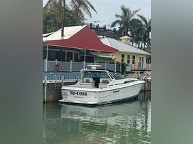 1989 Sea Ray Boats 390 for sale