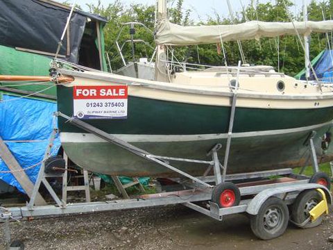 Oystercatcher 16