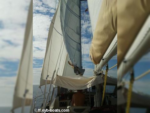 1979 Amel Mango for sale