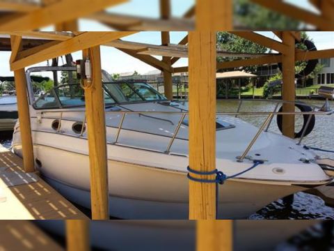 Chaparral Signature 300