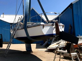 1974 Seal 22 for sale