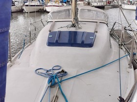 1974 Seal 22 for sale