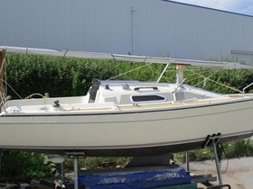Buy Dehler 22