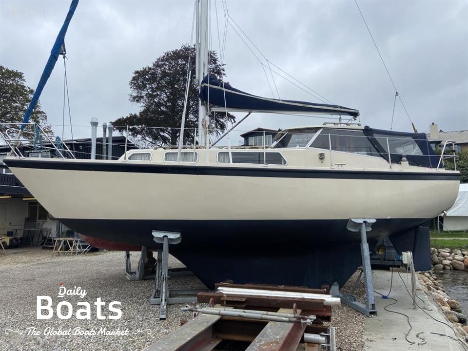 1979 Venus 31