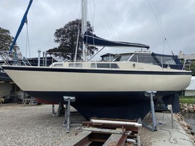 Venus 31