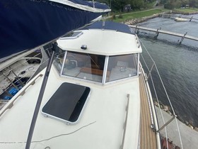 1979 Venus 31 na sprzedaż