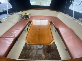 1979 Venus 31