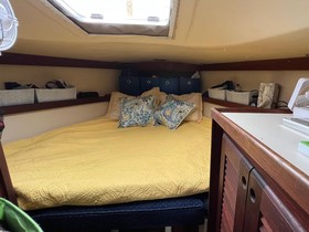 1989 Catalina Yachts 36