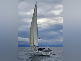 Buy 1990 Devonport Challenge 67