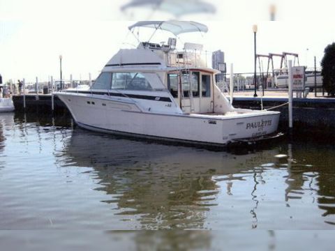 Bertram 46 Convertible