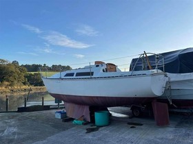 Acquistare 1983 Trapper 501