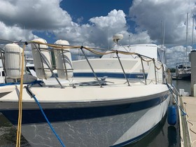 1984 Chris-Craft Catalina 381 for sale