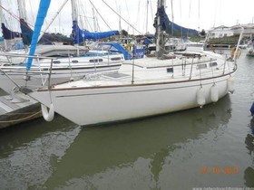 1981 Carter 30 for sale