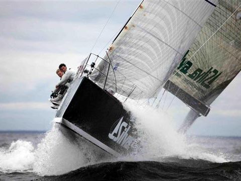  Evento 42 Silva Hispaniola Orc