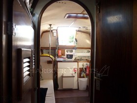 1977 Carter 33 for sale