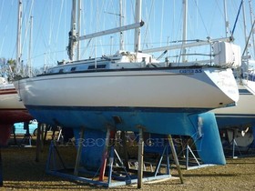 Buy 1977 Carter 33