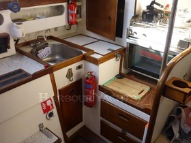 Buy 1977 Carter 33