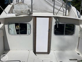 1979 Bertram Yachts Sf en venta