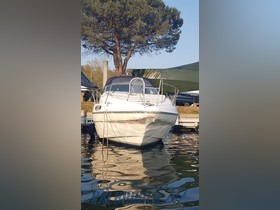 Köpa 1994 Sealine 310 Ambassador