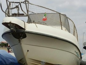 Capelli Boats 23 Wa