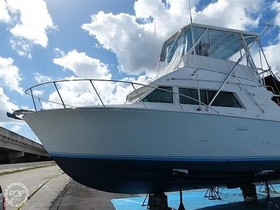 Buy 1988 Bertram Yachts 33 Sportfish