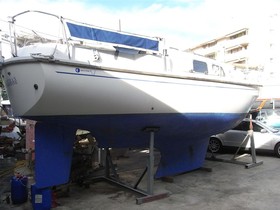 Buy 1975 Westerly Longbow 31