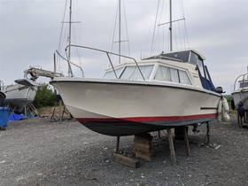 Birchwood Boats 22