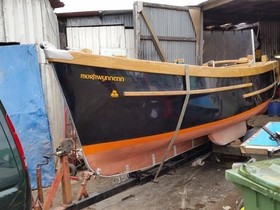 2020 Treeve 16 Ds