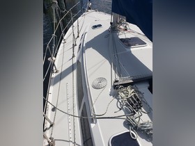 1995 Catalina Yachts 36 te koop