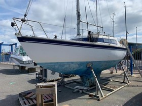 Newbridge Virgo Voyager 23