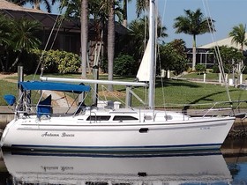 Catalina Yachts 310