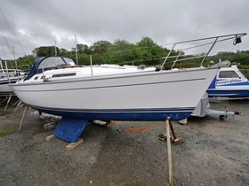 Moody S31