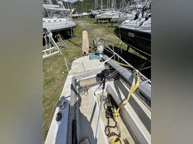 Buy 1970 Cal 40