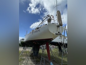 1970 Cal 40 for sale