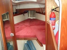 1981 Sea Master 29 for sale