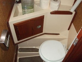 1981 Sea Master 29