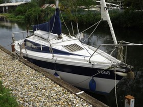Pegasus 700