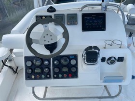 Buy 2012 Arno Leopard 39
