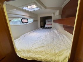 2012 Arno Leopard 39