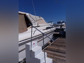 1983 Sea Ray Boats 36