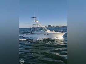 Bertram Yachts 38