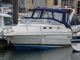 Wellcraft 2400 Martinique