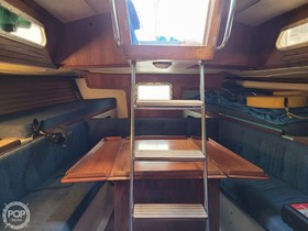 1982 New York 36 for sale