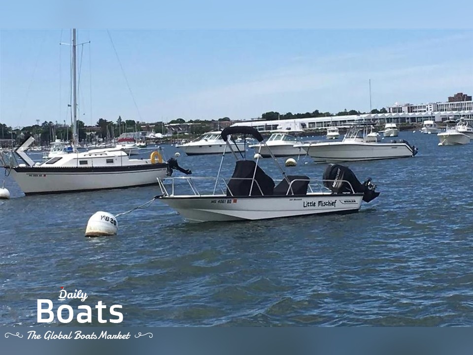 2017 Boston Whaler Boats Montauk for sale. View price, photos and Buy